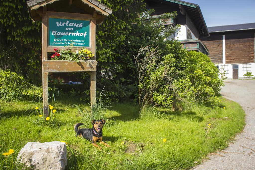 Schusterbauer Vila Koppl Exterior foto